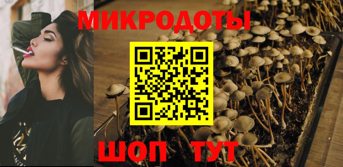 Ростов-на-Дону  Псилоцибиновые грибы Psilocybine cubensis  Вход с VPN  Псилоцибиновые грибы Psilocybe 