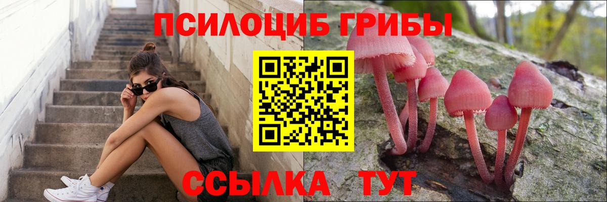 Псилоцибиновые грибы мухоморы Ростов-на-Дону